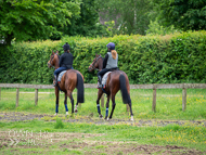 CH290522-41 - Charlie Hills Stable Visit